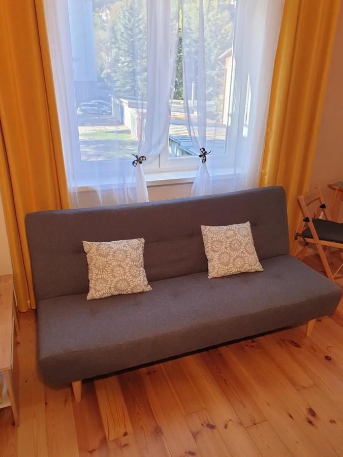 Apartman Central, Self Check In 24 H, Free Parking Банська Бистриця Екстер'єр фото